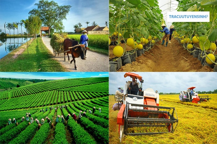 ngành kinh tế nông nghiệp