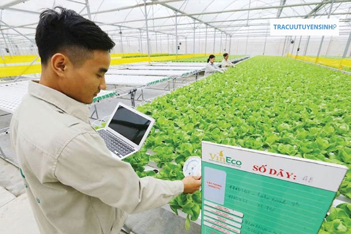 ngành nông nghiệp công nghệ cao